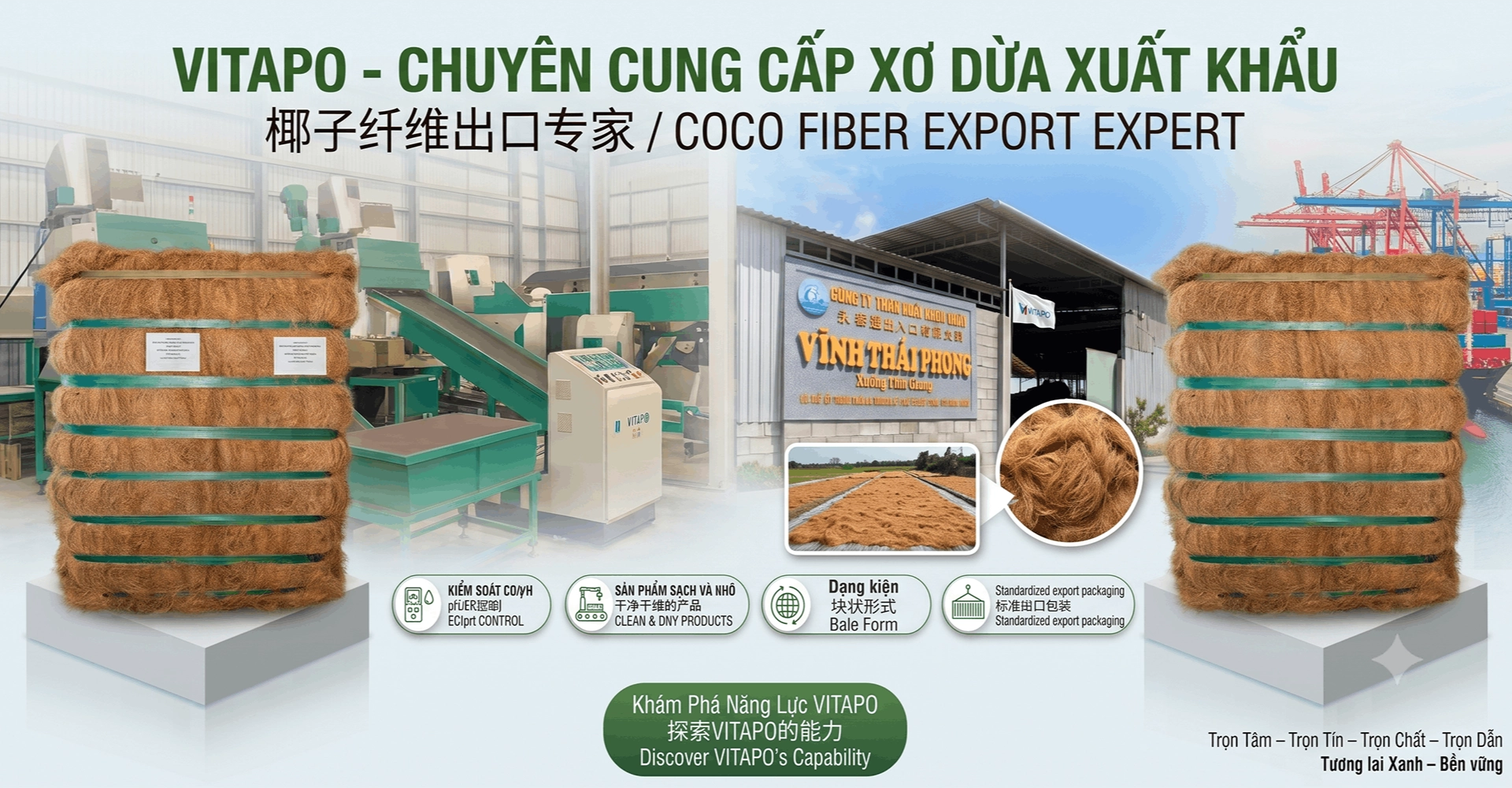 CÔNG TY TNHH XUẤT NHẬP KHẨU VĨNH THÁI PHONG