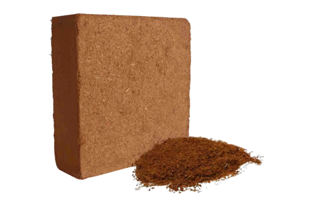 Mụn Dừa (Cocopeat)